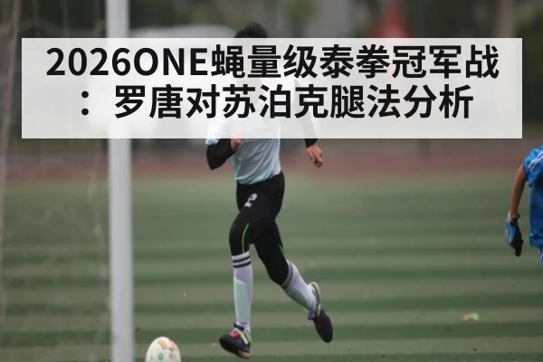 2026ONE蝇量级泰拳冠军战：罗唐对苏泊克腿法分析